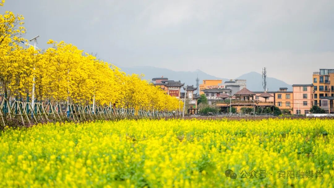 宾阳中医院牙科怎么样暖心升级！宾阳县妇幼保健院中医科住院病房正式投入使用_https://www.jmylbn.com_新闻资讯_第10张