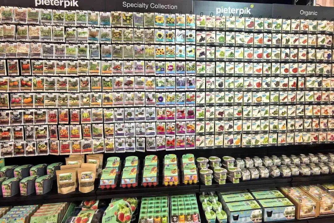 怎么介绍ipm10陈凤翔：10年回眸IPM埃森国际花展有感 ｜ 动态_https://www.jmylbn.com_新闻资讯_第11张