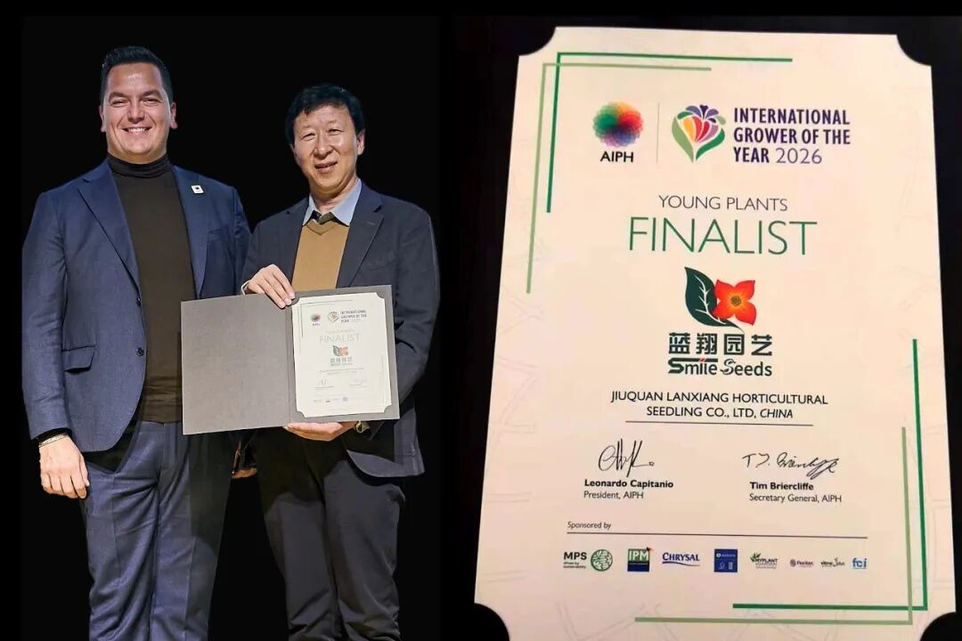 怎么介绍ipm10陈凤翔：10年回眸IPM埃森国际花展有感 ｜ 动态_https://www.jmylbn.com_新闻资讯_第3张