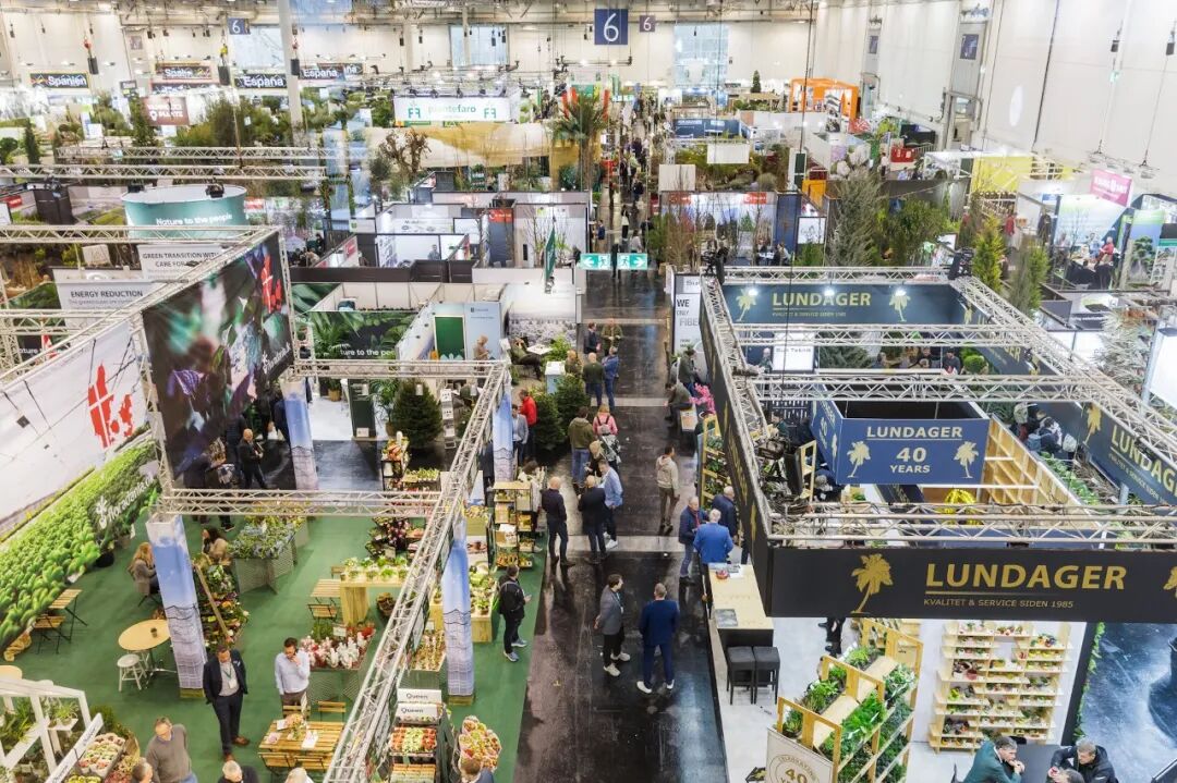 怎么介绍ipm10陈凤翔：10年回眸IPM埃森国际花展有感 ｜ 动态_https://www.jmylbn.com_新闻资讯_第5张