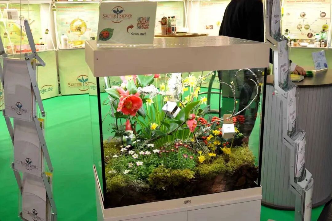 怎么介绍ipm10陈凤翔：10年回眸IPM埃森国际花展有感 ｜ 动态_https://www.jmylbn.com_新闻资讯_第10张