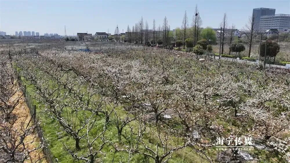 快時尚服裝裝修（服裝快時尚是什麽意思）