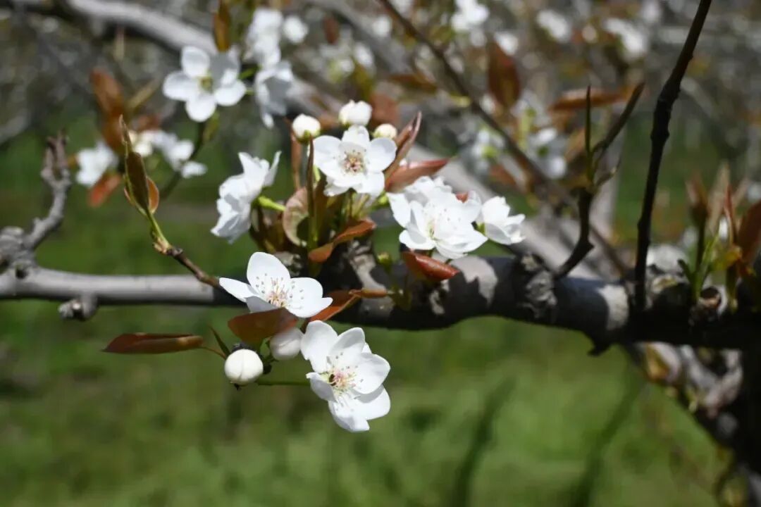 國外時尚女性服裝（國外時尚女性服裝品牌）