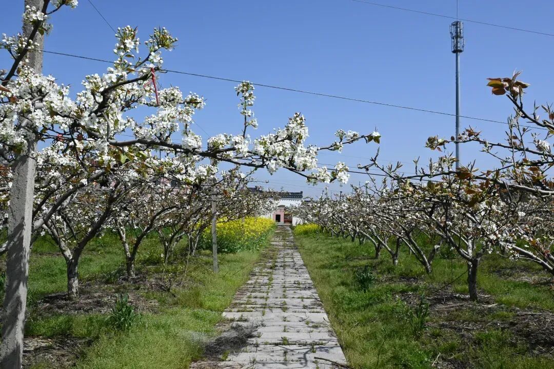 《露露亞的煉金工房：亞蘭德之煉金圓士4》新諜報 勤奮的煉金圓士少女露露亞