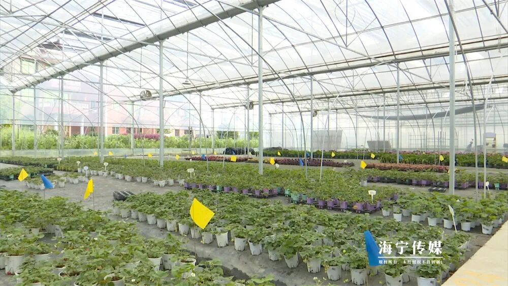 娜娜時尚潮流服裝（娜娜潮流女裝店）