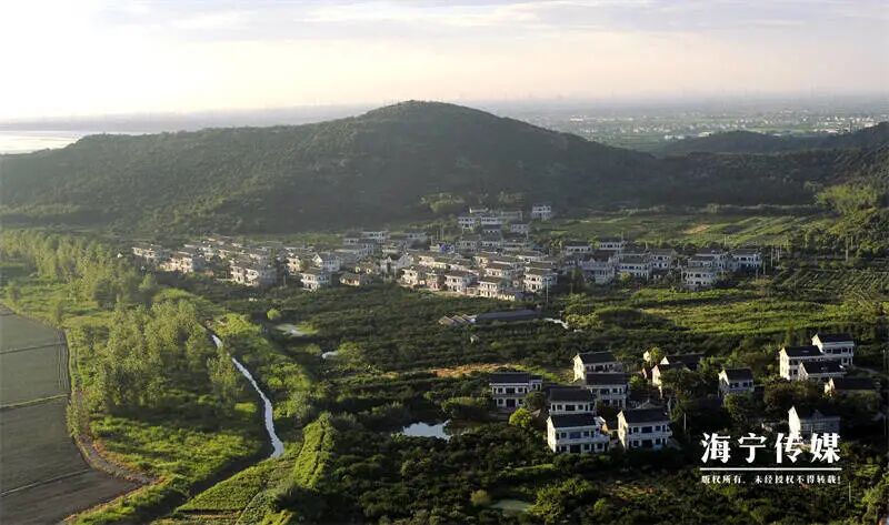 重塑天下的上帝之力！《興土帝國：人類問複》法律體係大年夜掀秘！