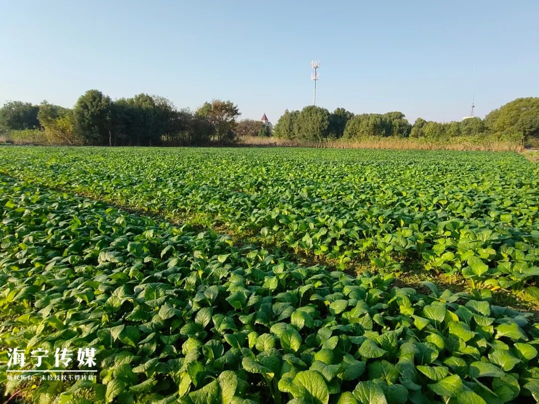 I社公布次世代脫衣遊戲 豪情惡弄《終究胡念》