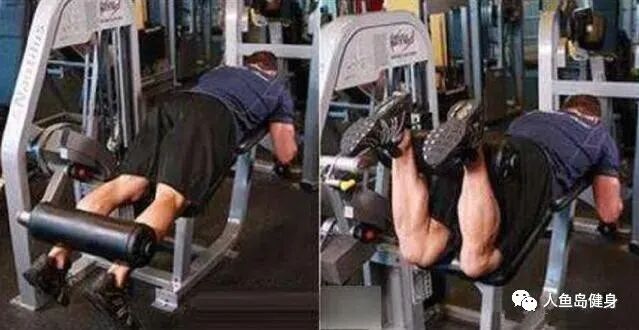 为什么会有单关节器械练腿，离不开单关节孤立刺激动作！_https://www.jmylbn.com_新闻资讯_第4张
