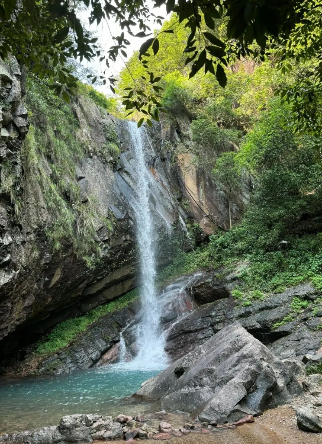 图源：小红书&nbsp; 一只脱脂