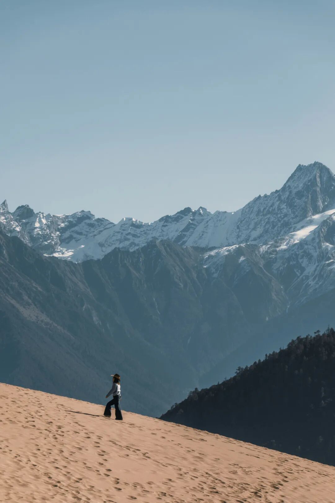 有直飞有高铁！花海美过新疆日本！这座小城凭什么荣登“春日旅行天花板”？