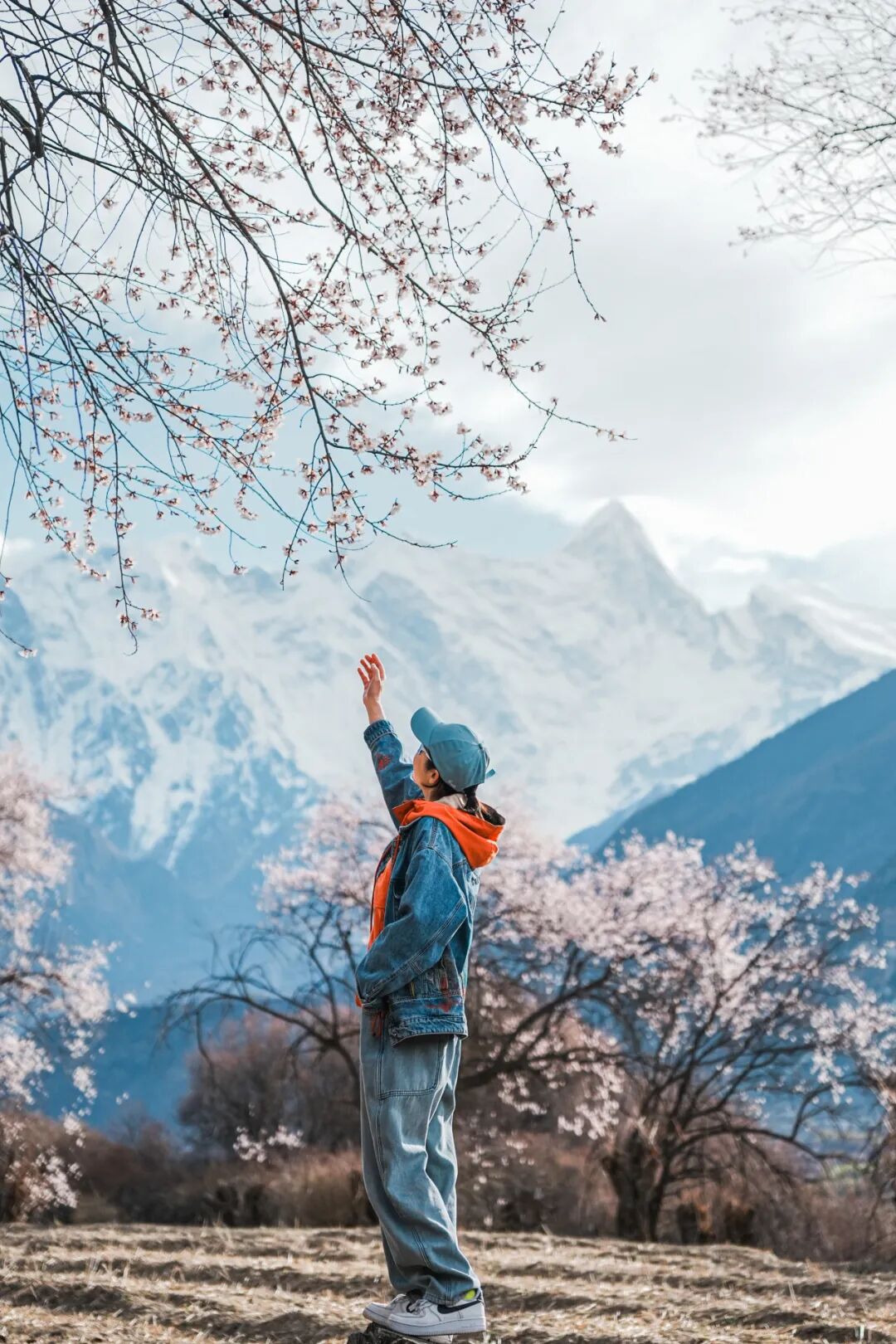 有直飞有高铁！花海美过新疆日本！这座小城凭什么荣登“春日旅行天花板”？