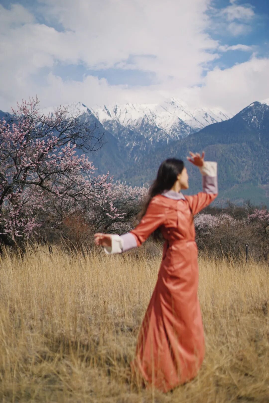 有直飞有高铁！花海美过新疆日本！这座小城凭什么荣登“春日旅行天花板”？