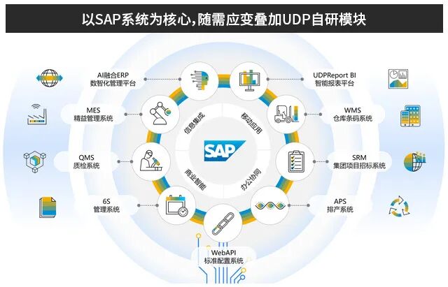 SAP實施商,SAP開發(fā),SAP軟件實施商,SAP系統(tǒng)開發(fā),SAP開發(fā)服務(wù),SAP平臺ERP功能擴展,SAP Addon,SAP行業(yè)解決方案