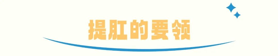 提肛运动怎么做