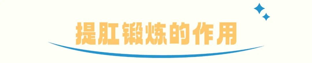 提肛运动怎么做