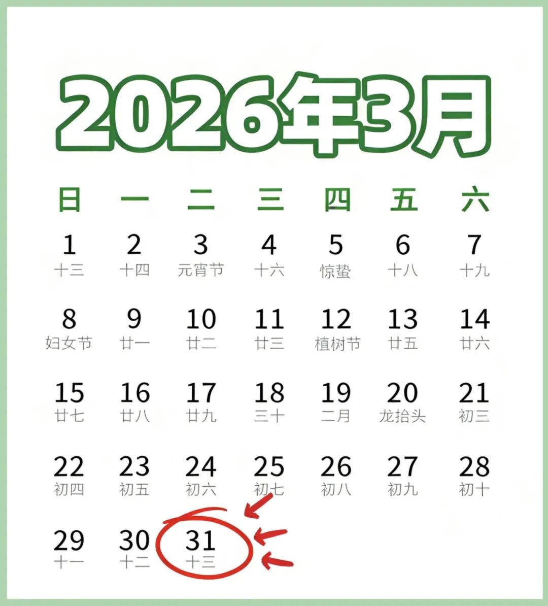 单位年度缴费工资申报__本年月缴费工资