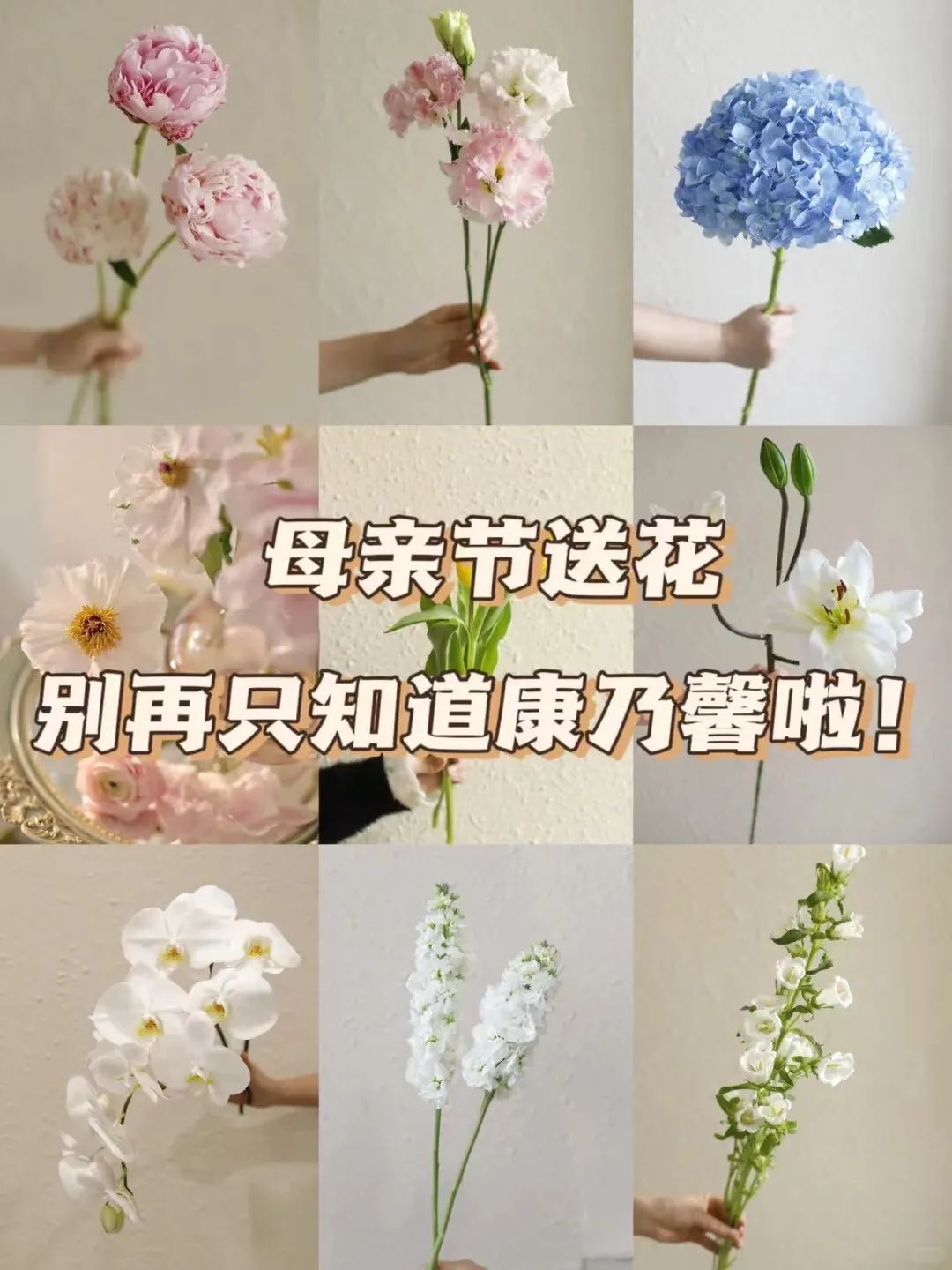 送这种花妈妈根本无法拒绝