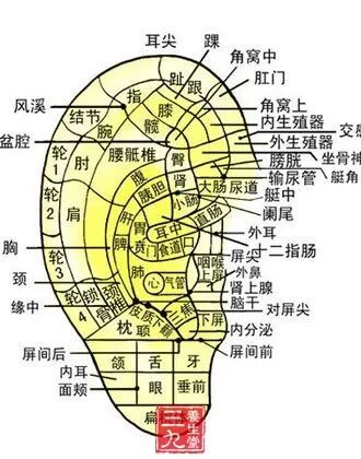 穿刺钳怎么用规培技能资料（中医、中西医）_https://www.jmylbn.com_新闻资讯_第1张