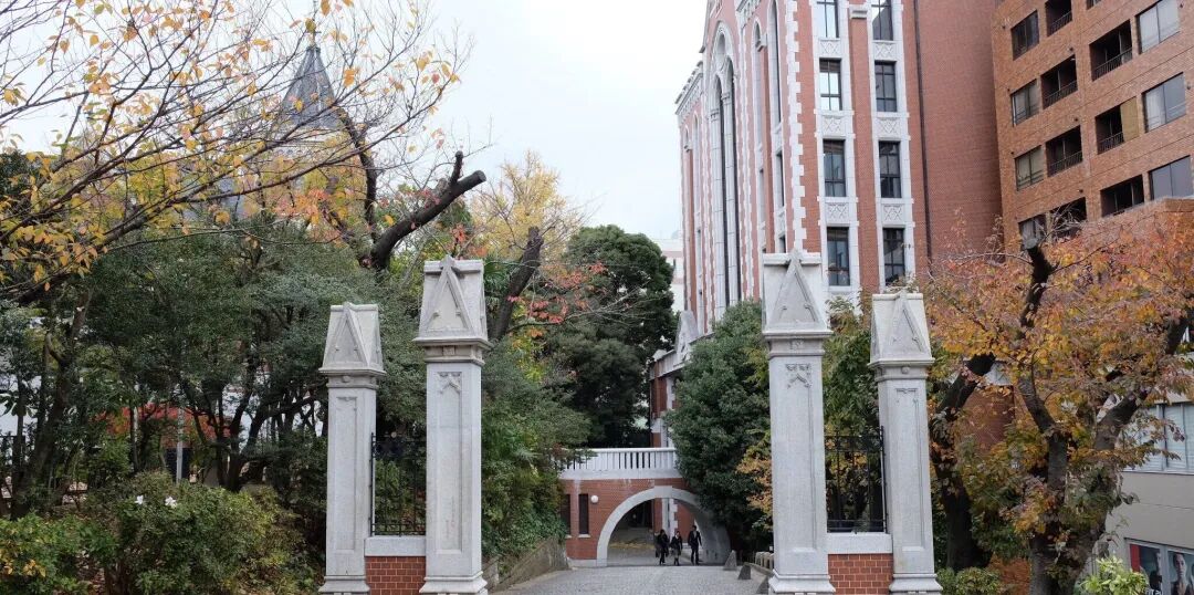 日本大学就业竞争力