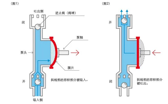 泰克米纳基础小讲堂，Smoothflow Pump泵气囊的原理及问题