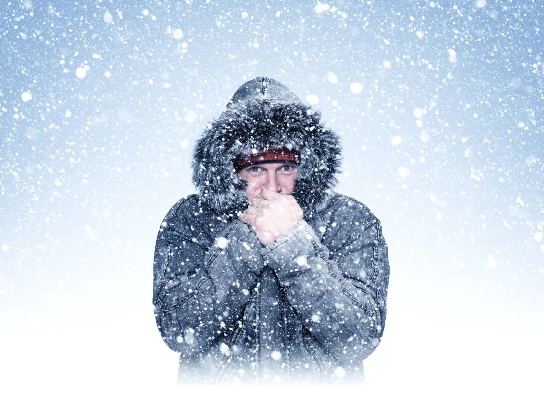 寒潮来袭！羽绒服“涨价狂潮”，1吨鸭绒竟从17万涨到58万？