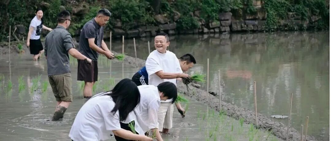 文章封面
