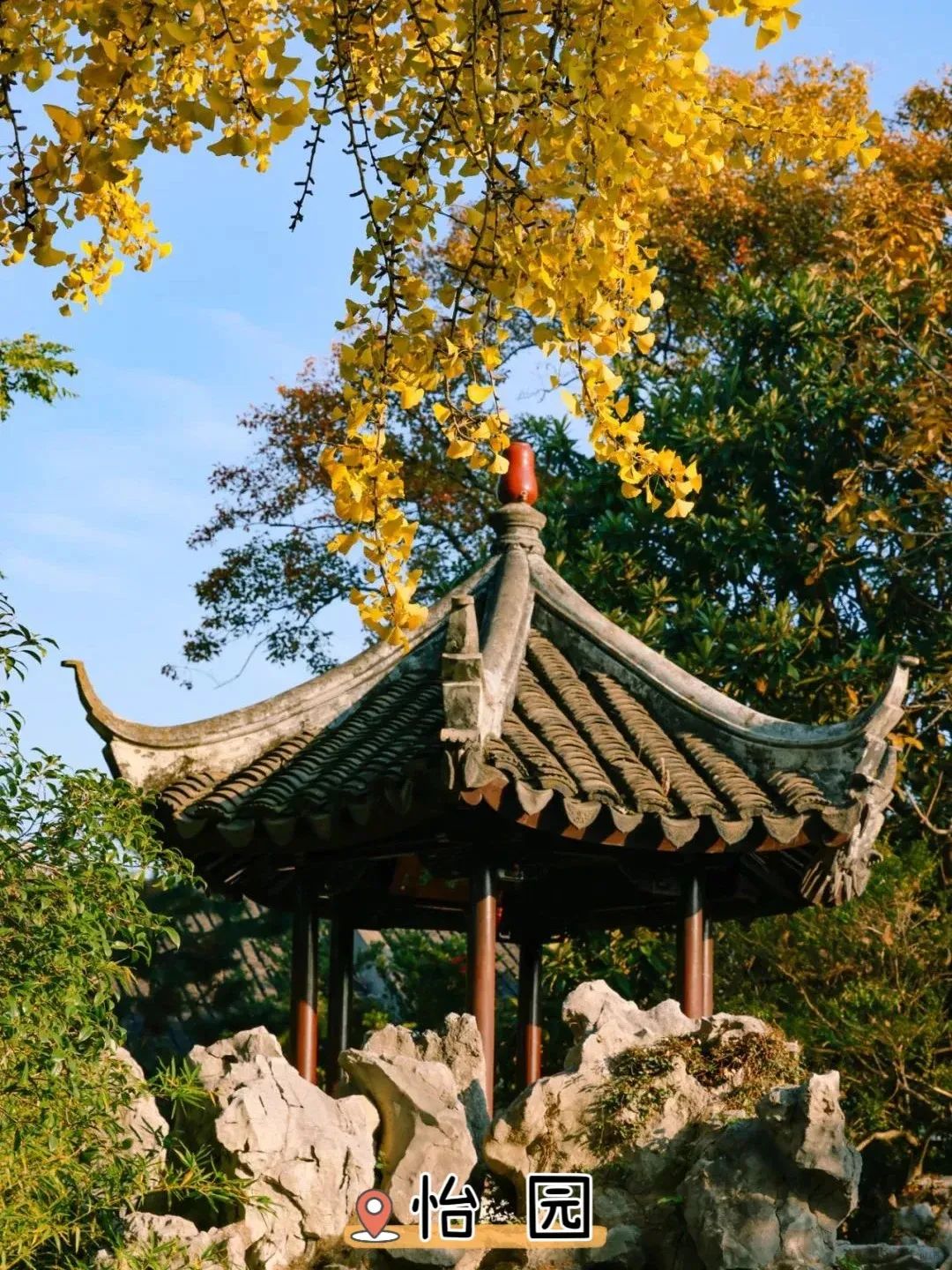 苏州看银杏的地方