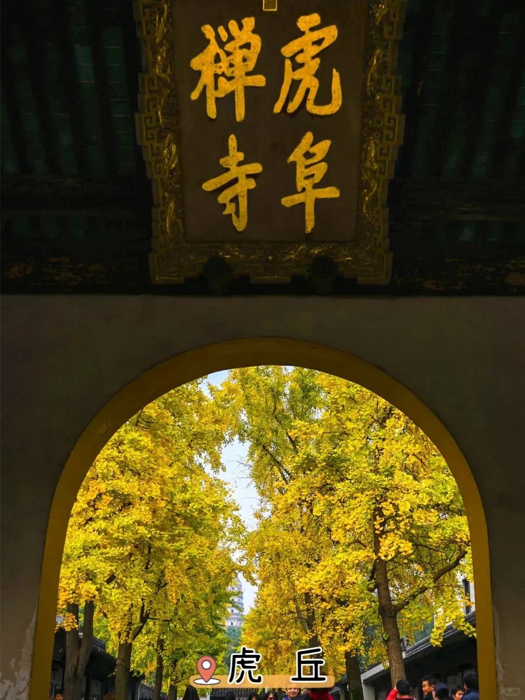 苏州看银杏的地方