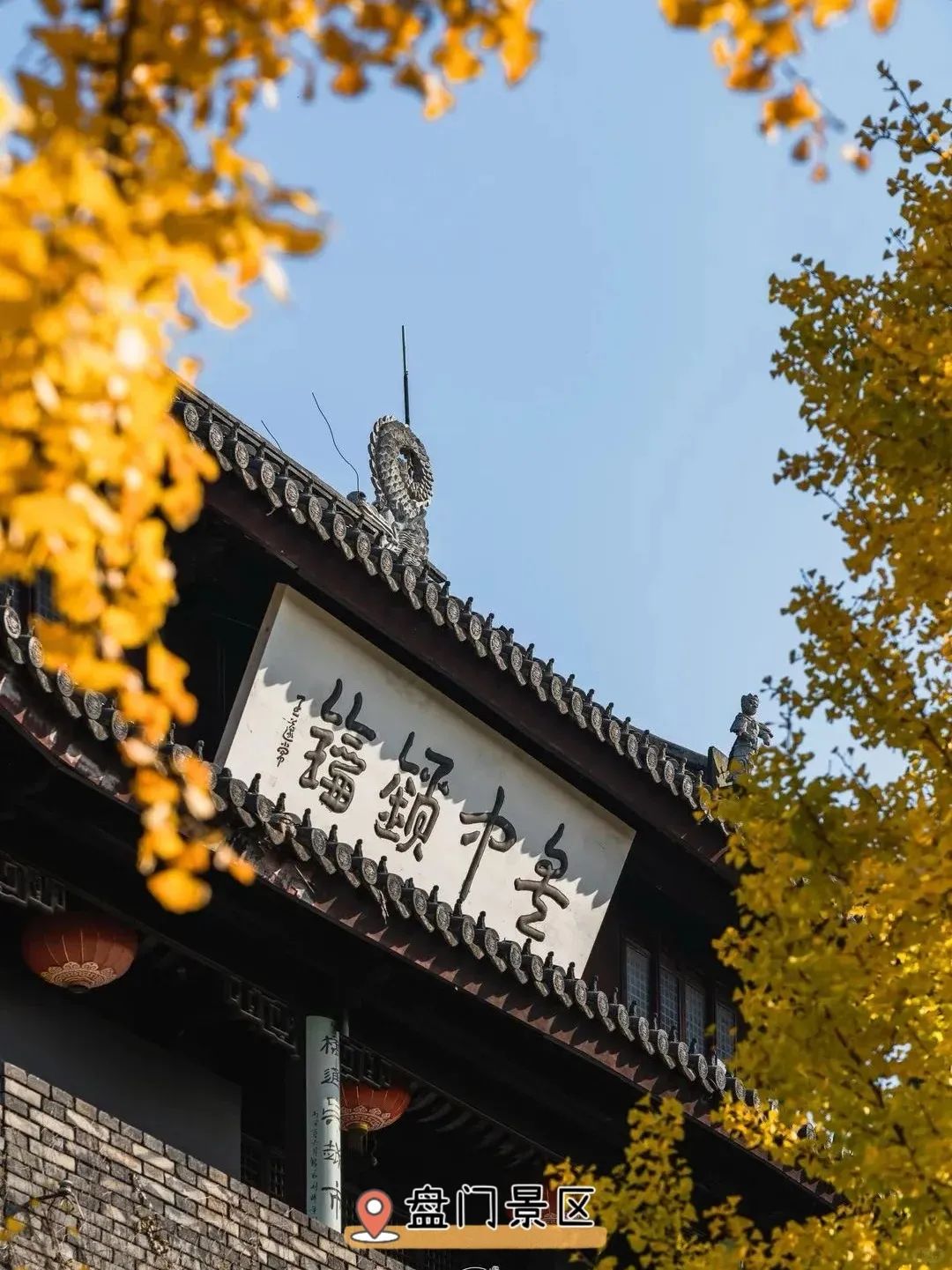 苏州看银杏的地方