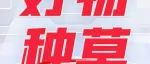49元4条，38°的夏天，离不开一条冰凉蚕丝内裤，清凉透气~