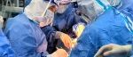 责任、意志、铸就生命之光——中国医大一院心脏外科再次在全程闭环防护下成功救治A型主动脉夹层患者