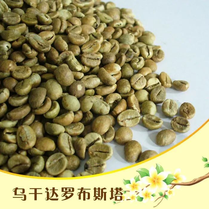 乌干达驻广州总领事馆一行访问金达咖啡饮品城