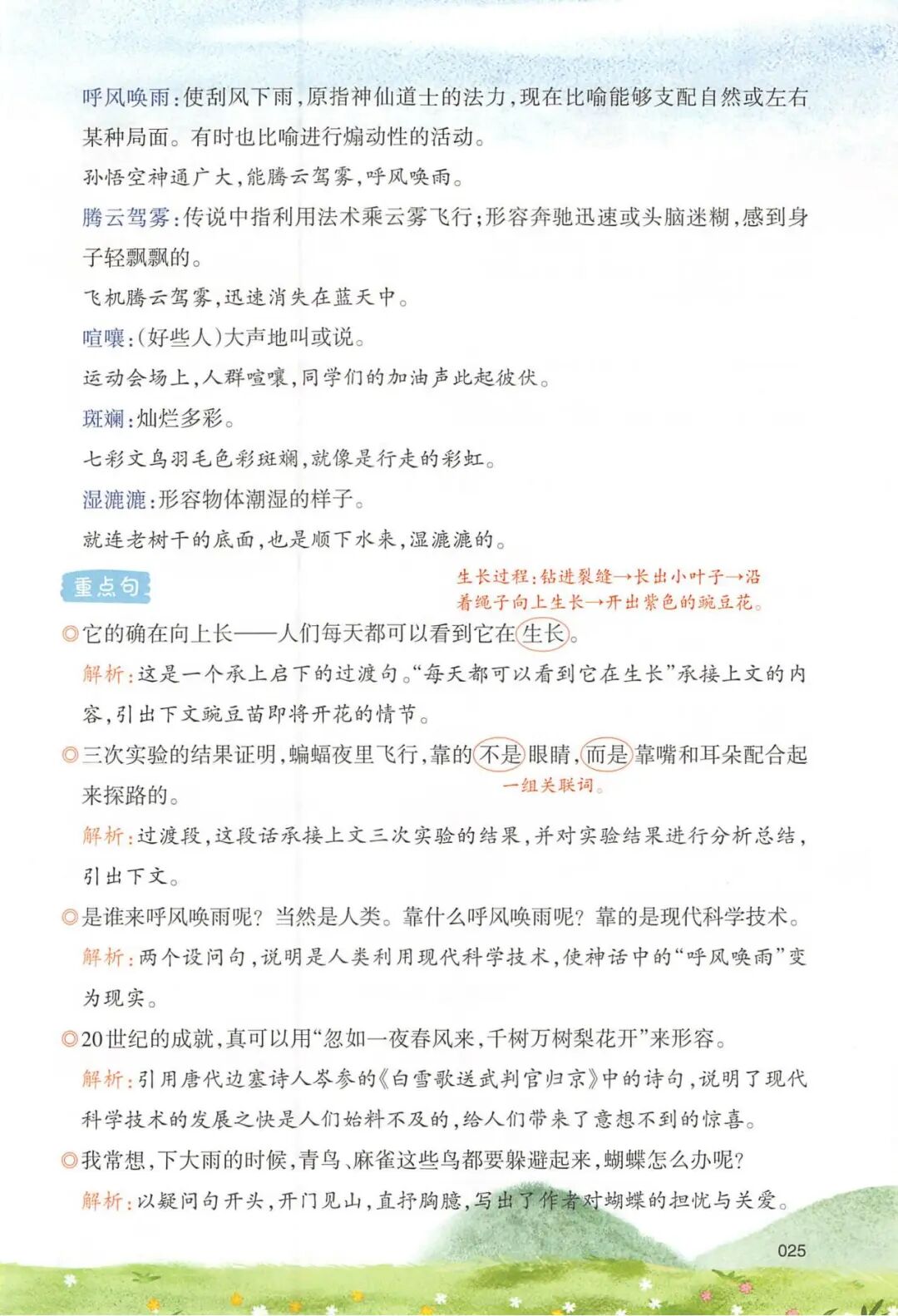 2025年四年级上册语文《第二单元预习笔记》（共29页），电子版可下载打印