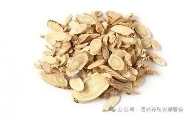 本周亳州市场中药材行情