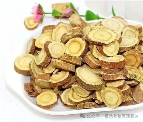 本周亳州市场中药材行情