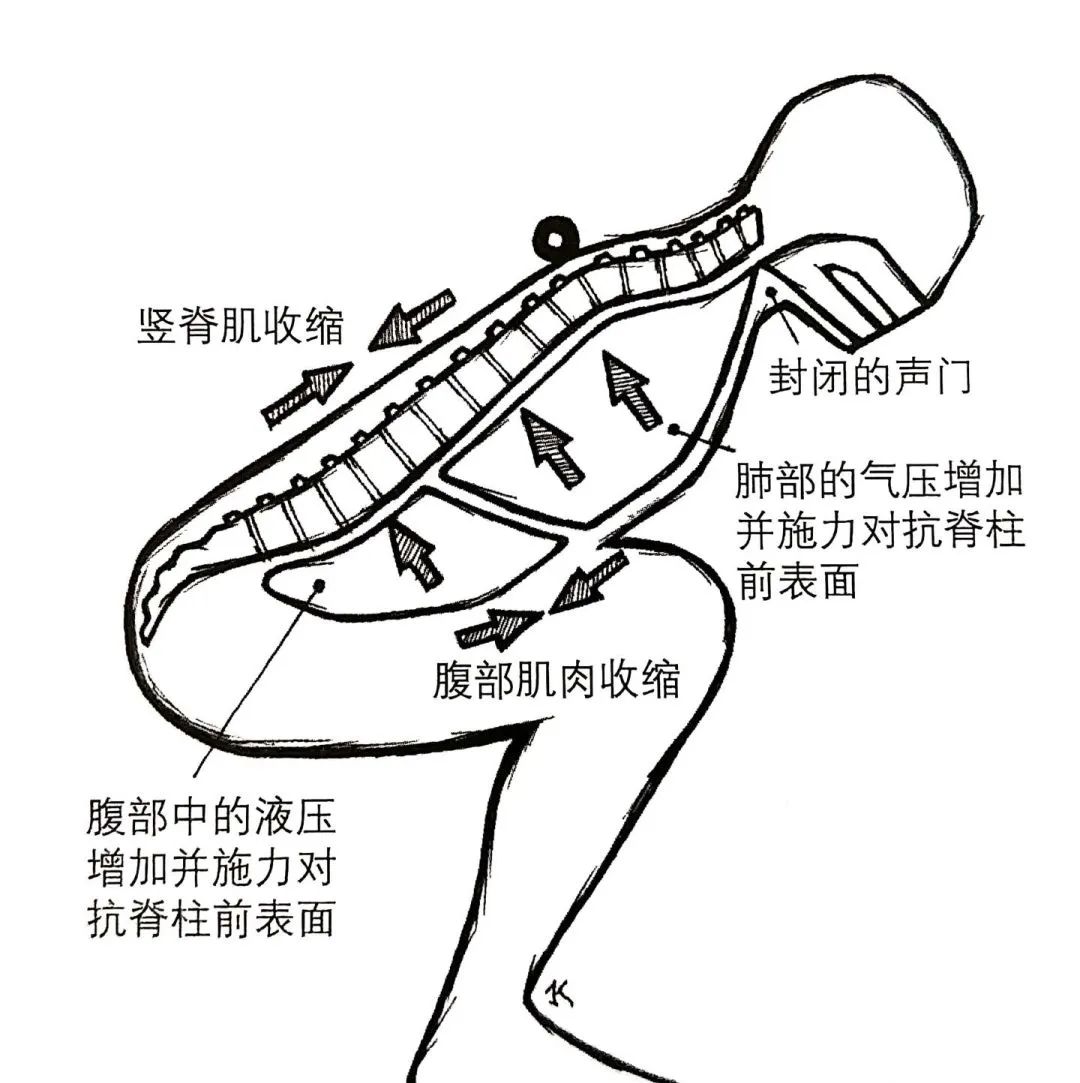 图260 颈深肌群（前面观）-人体解剖组织学-医学