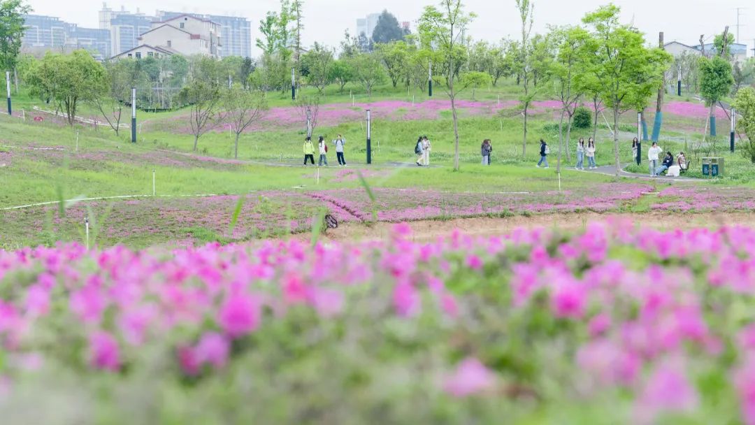 南华大学收分线_南华大学2024年录取分数线_南华大学今年录取线