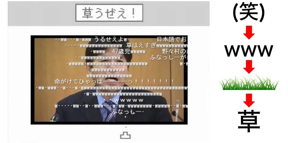 草英文_金棘草 英文_土草 英文