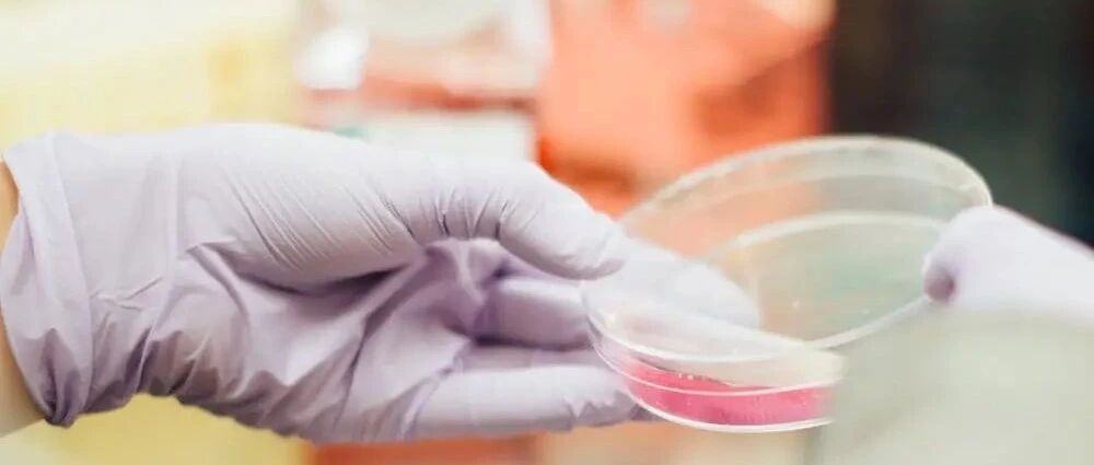 减药甚至停药，干细胞对很多疾病有效，究竟效果有多好？