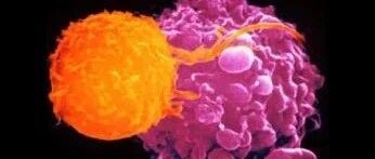 NK细胞：生命科学领域之星，抗病防癌的利剑！