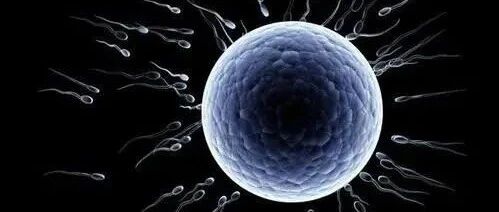 源于细胞 终于细胞