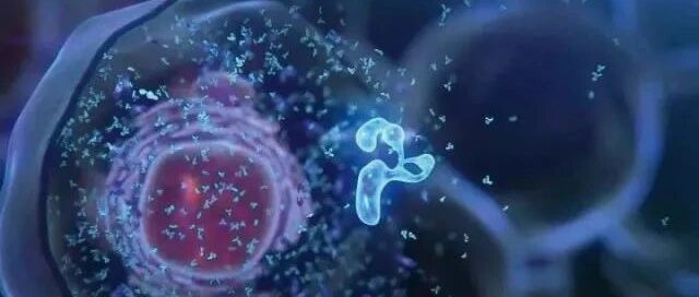 细胞基因疗法，高瓴的重仓