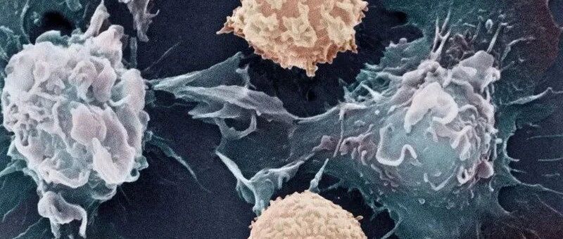 其实你并不孤单，每时每刻都有数以万计的细胞在为你拼命