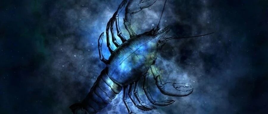 肿瘤免疫学｜历史与简介