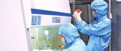 大河报：加快创面愈合、减少疤痕 ，干细胞造福烧伤患者未来可期！