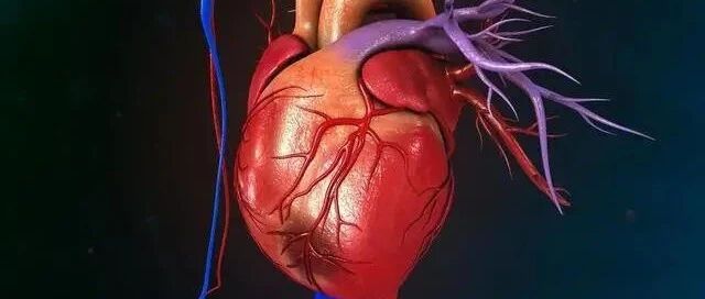 Nature：世界首次！中国两名男子率先接受了开创性的心脏病干细胞治疗，成功康复