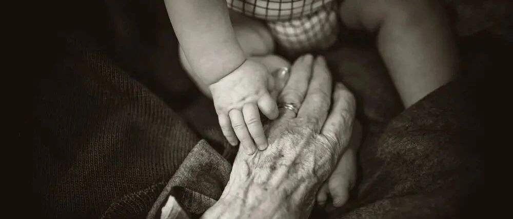 抵御衰老之术 干细胞或将是最佳选择