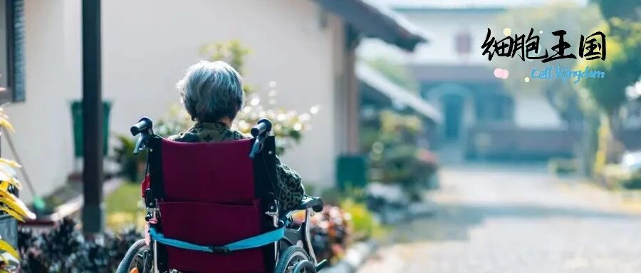 《PNAS》：NK细胞不仅能防癌，亦可阻止帕金森病恶化