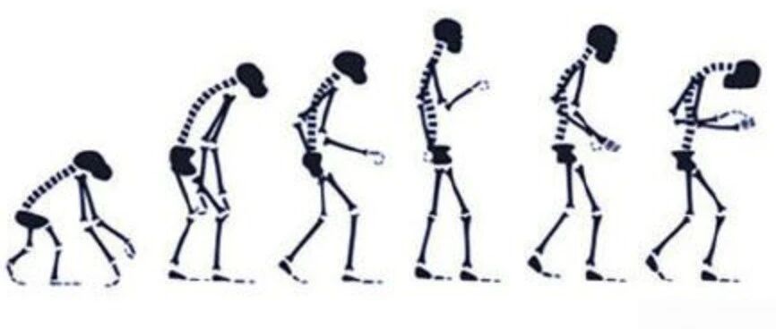 综述｜免疫与衰老 一文说清楚了