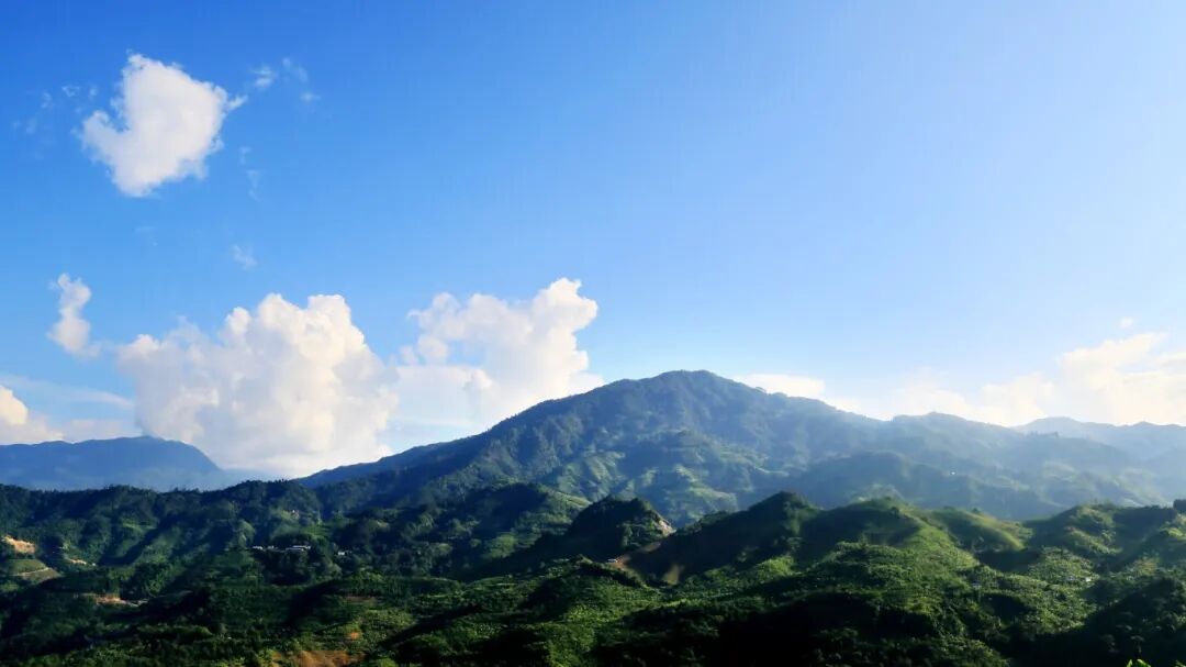 《老山2》 2016年7月30日吴德华摄于八里河路上.jpg